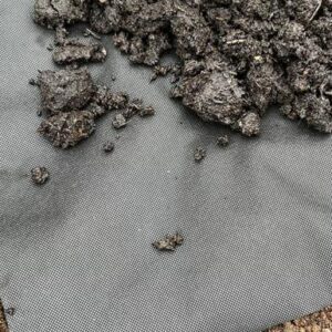 Geotextile Membranes